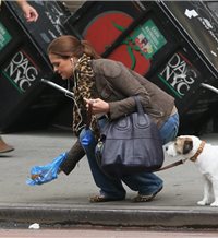 magdalena de suecia recogiendo excrementos de su perro
