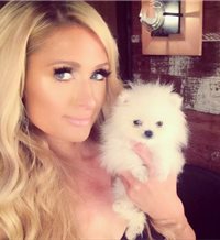 Las 8 rarezas de Paris Hilton con las mascotas