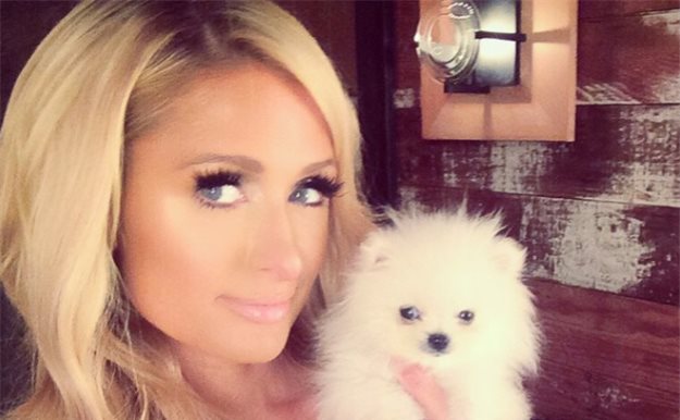 Las 8 rarezas de Paris Hilton con las mascotas