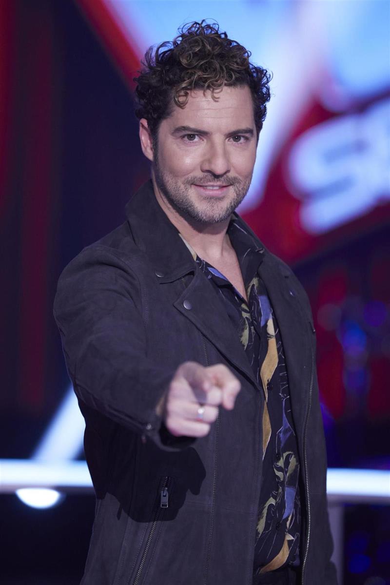 david bisbal