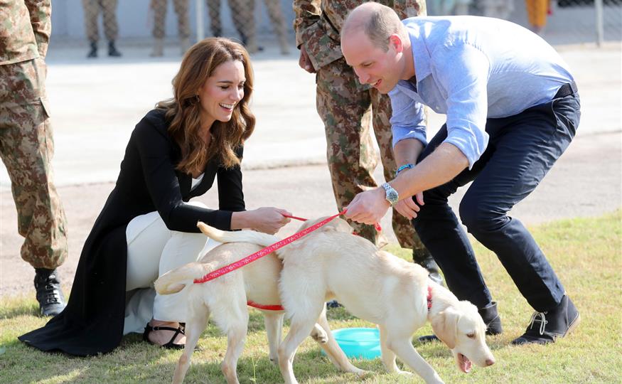 Kate Middleton perros