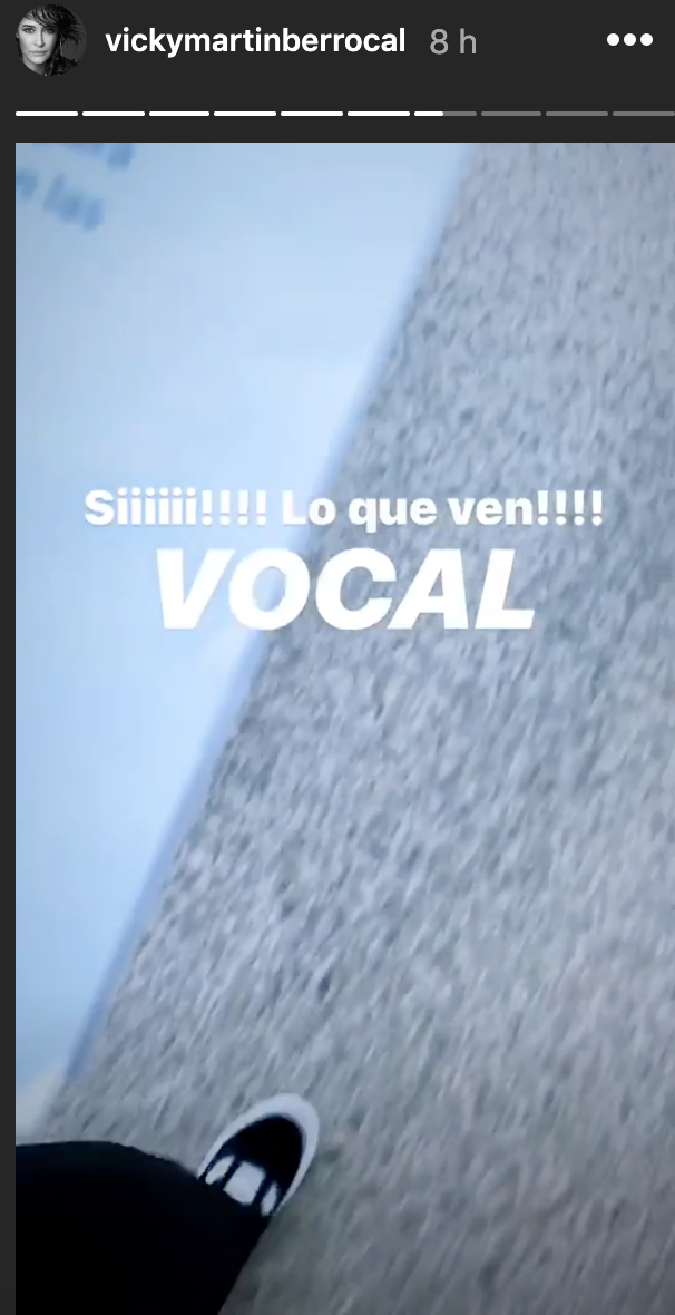 Vicky Martín Berrocal, vocal