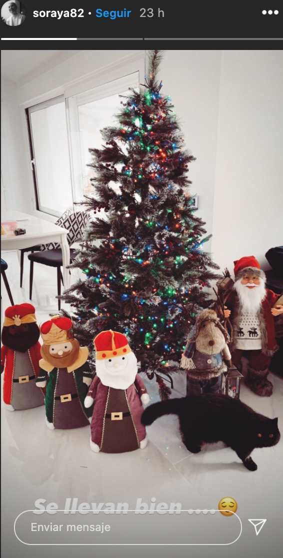Soraya ya ha puesto el árbol de Navidad