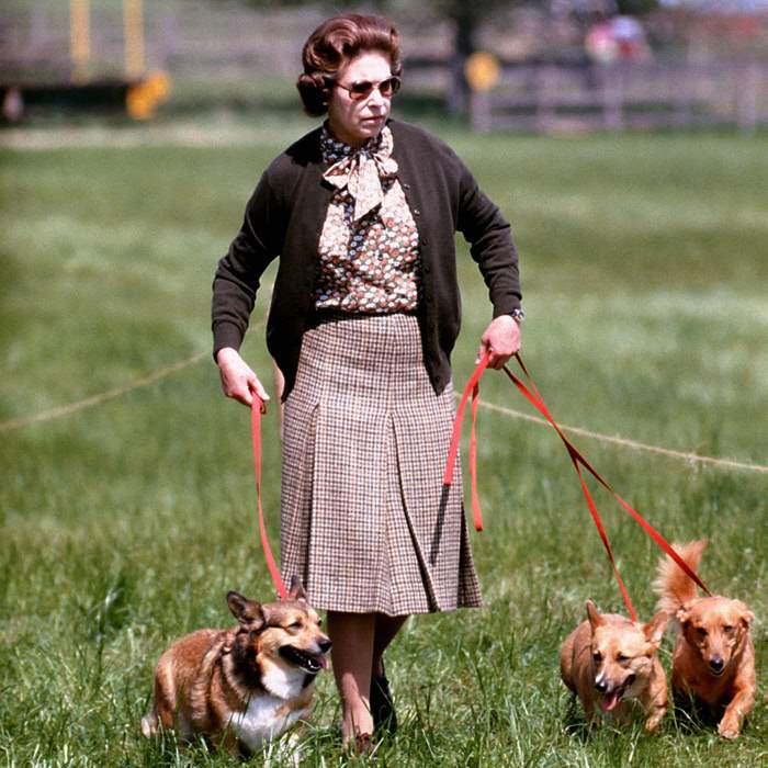 Isabel II y sus corgis