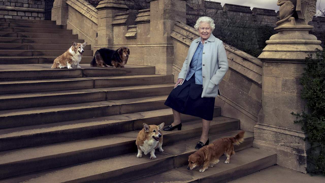Los corgis de Isabel II preocupan a los animalistas. ¿Quién cuidará de ellos ahora?