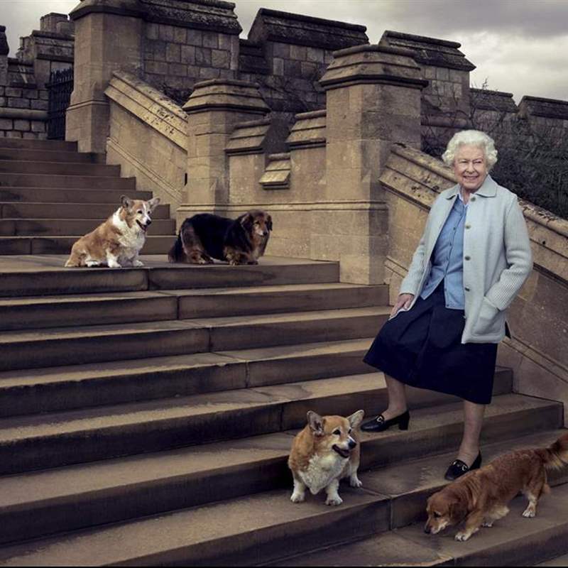 Los corgis de Isabel II protagonizan la imagen más tierna de su último adiós en Windsor