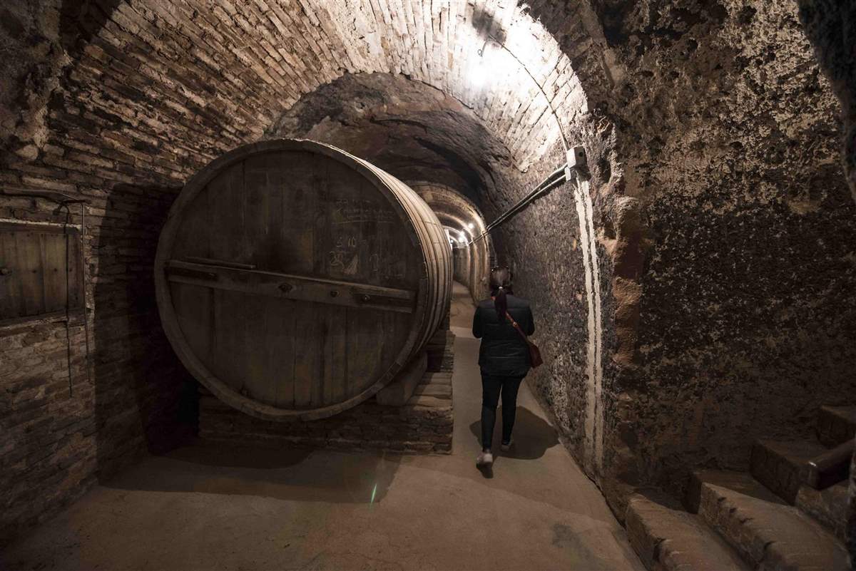 Bodega hijos de alberto gutierrez Serrada Foto Miguel angel munoz romero 001. Una ruta de vino