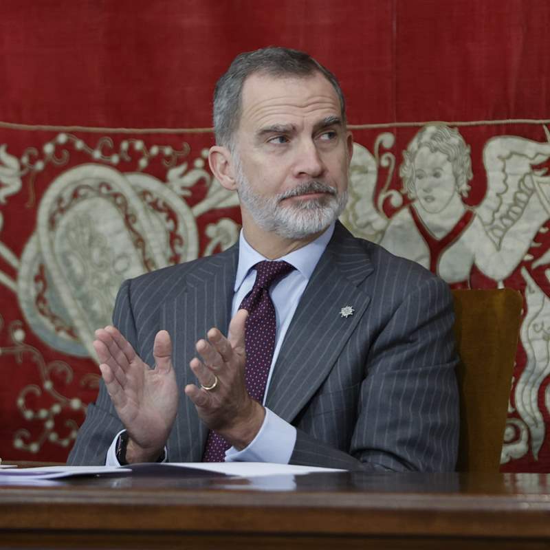 El rey Felipe VI