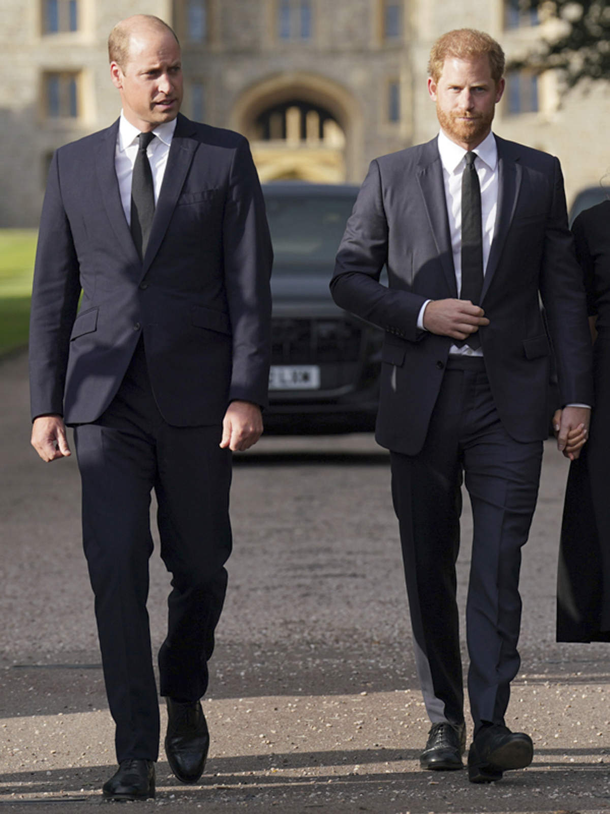 Principes Harry y Guillermo