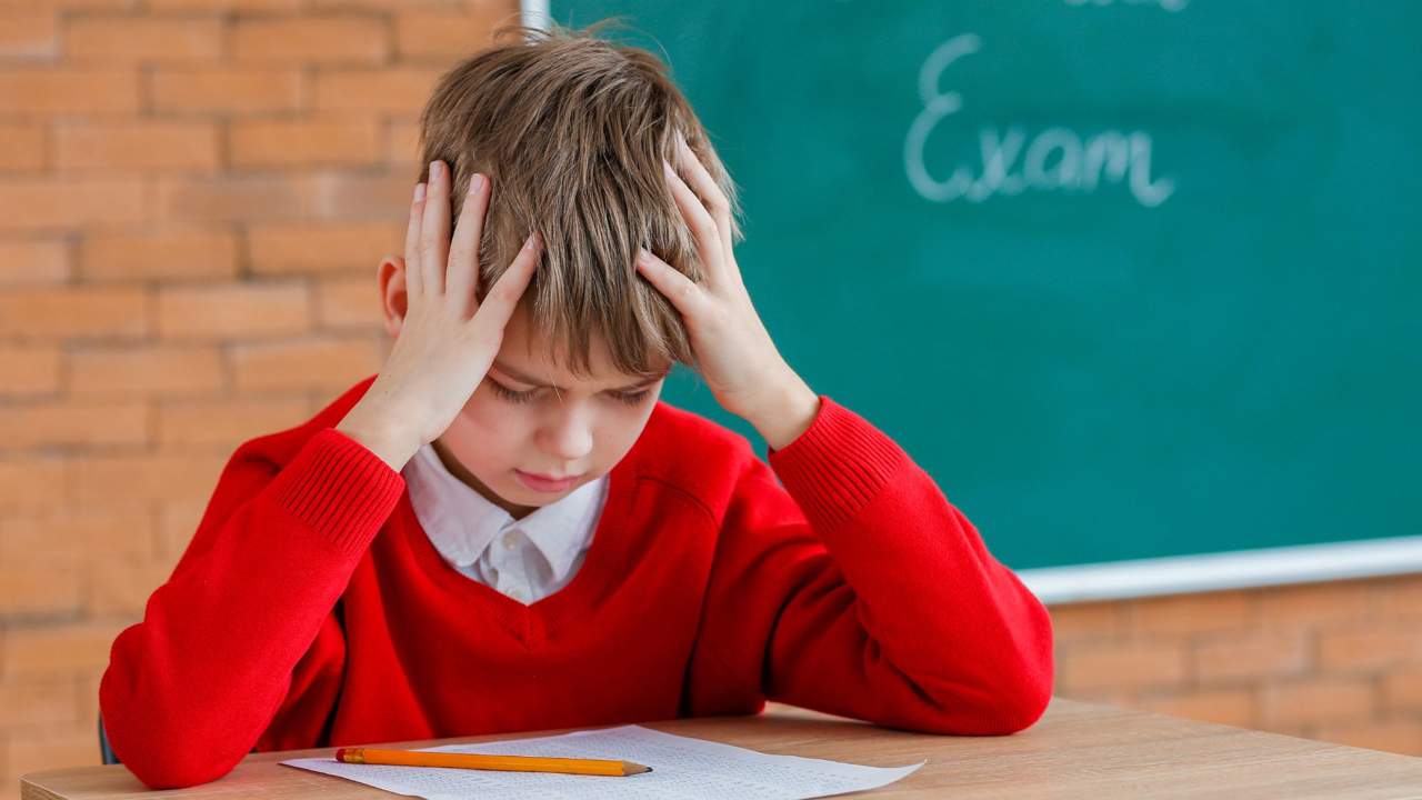 La inesperada respuesta viral de un niño a la pregunta qué es la monarquía deja sin palabras a su profesor