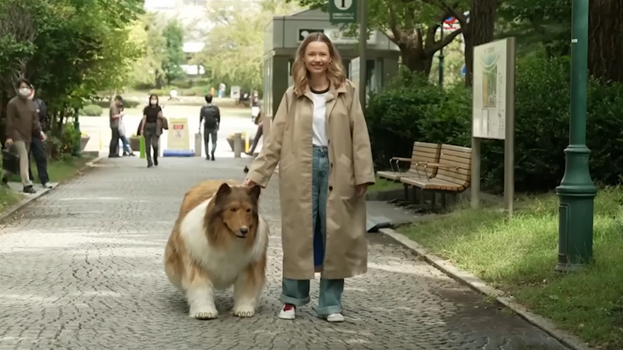 El vídeo viral de un hombre que se ha gastado 13.000 euros para convertirse en perro