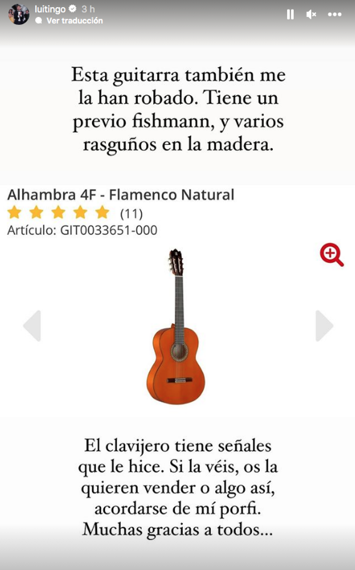 Guitarra Luitingo