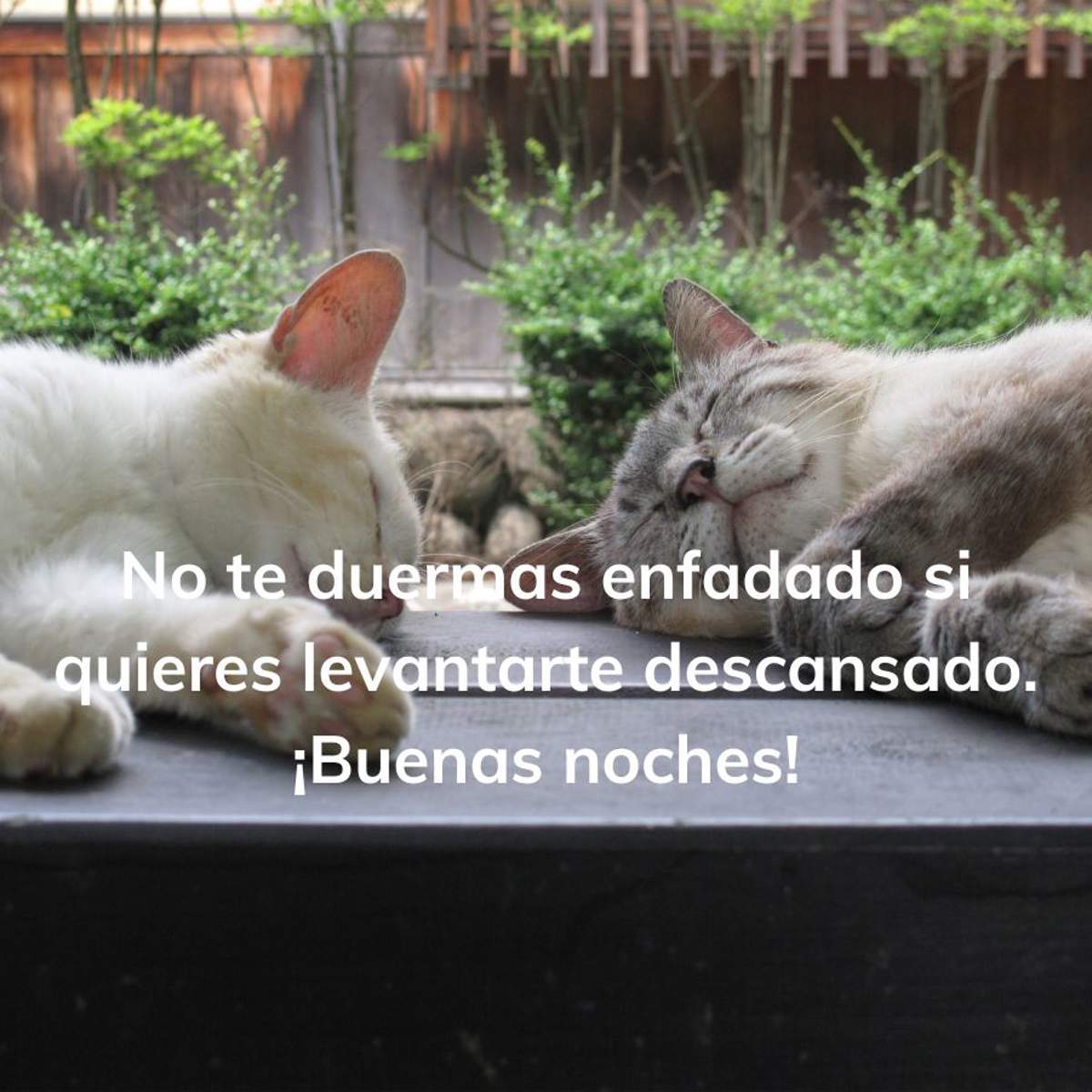 25 frases motivadoras de buenas noches para acabar el día con ánimos