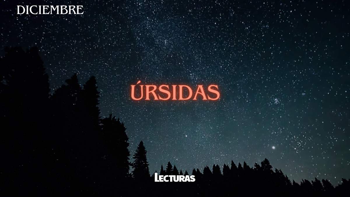 Lluvias de estrellas 2024: fechas y dónde verlas