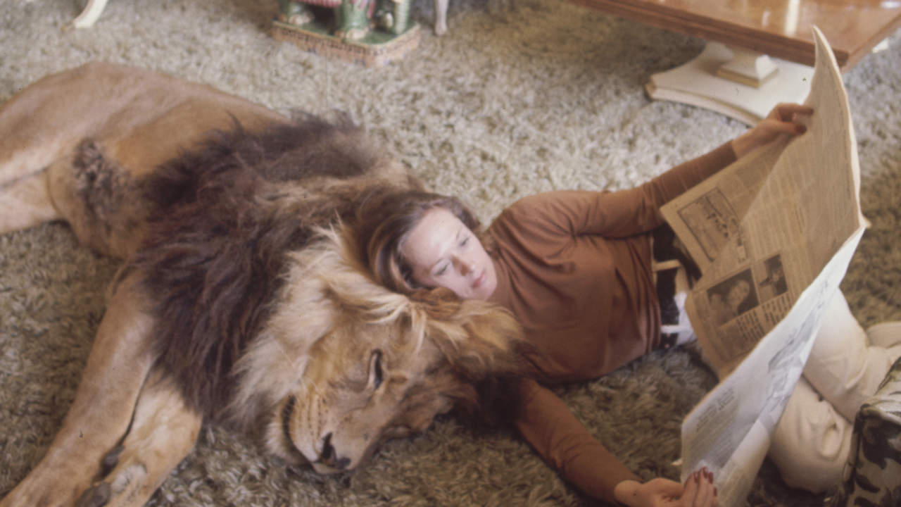 Rodeada de leones y tigres en casa: la vida de película de Tippi Hedren, madre de Melanie Griffith y musa de Hitchcock