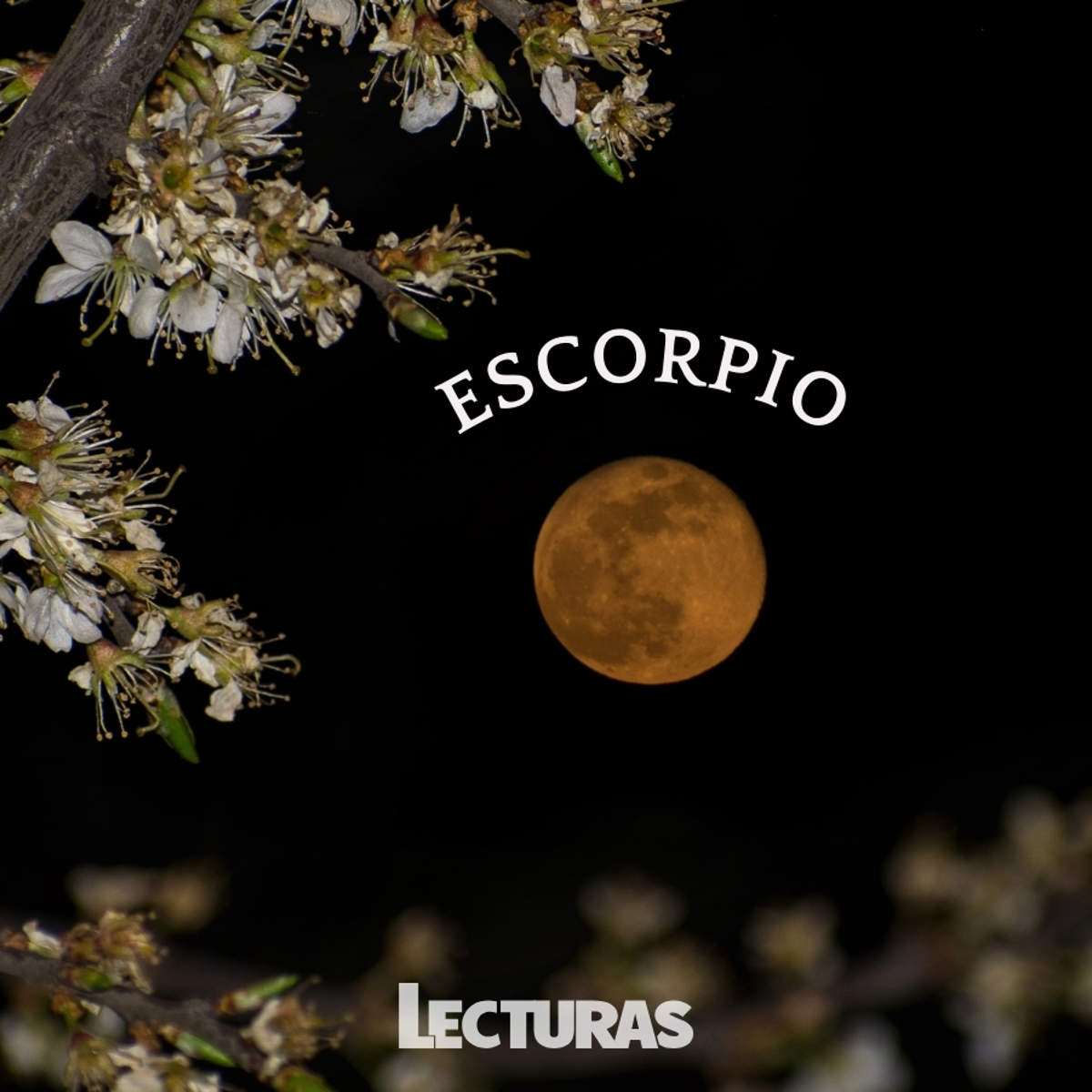 Luna de Flores: qué es, cuándo será y cómo afectará a los signos del zodiaco