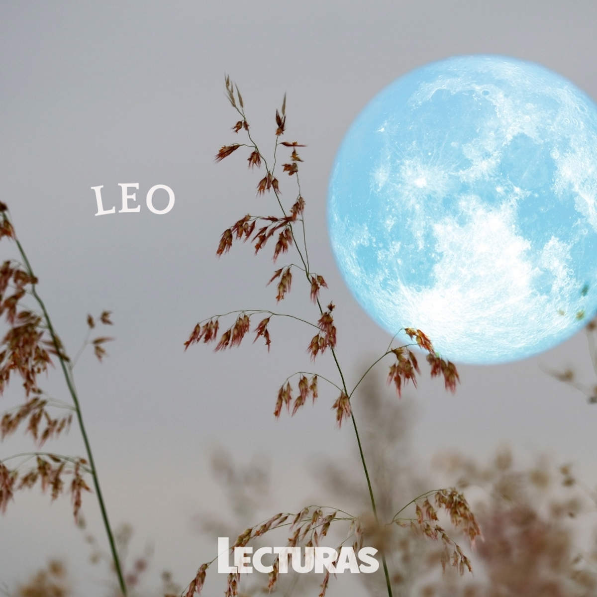 Luna de Flores: qué es, cuándo será y cómo afectará a los signos del zodiaco