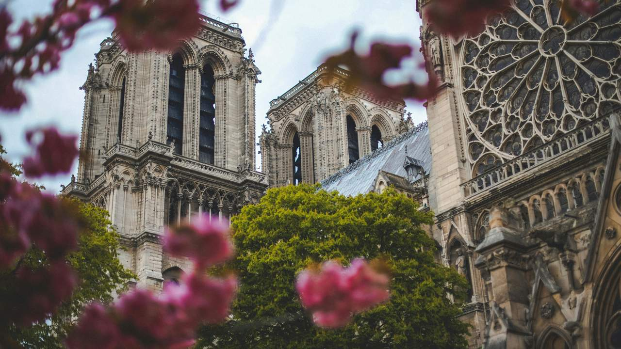 Los grandes secretos de la 'nueva' Notre-Dame de París que abre, por fin, sus puertas 