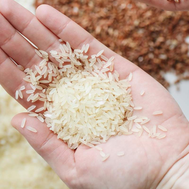 La OCU dicta sentencia: cocinar arroz sin lavar es mucho más peligroso de lo que parece