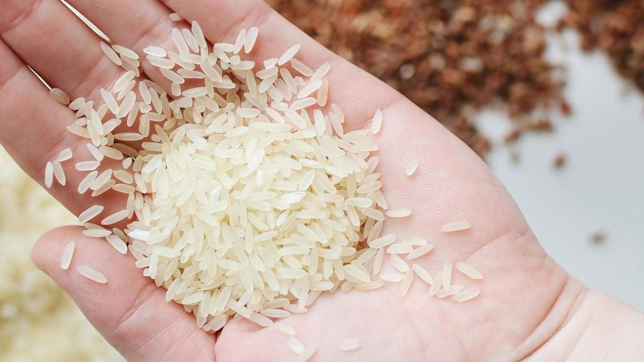 La OCU dicta sentencia: cocinar arroz sin lavar es mucho más peligroso de lo que parece