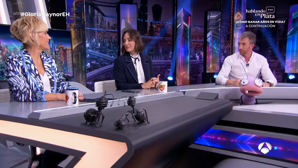 Tamara Falcó
