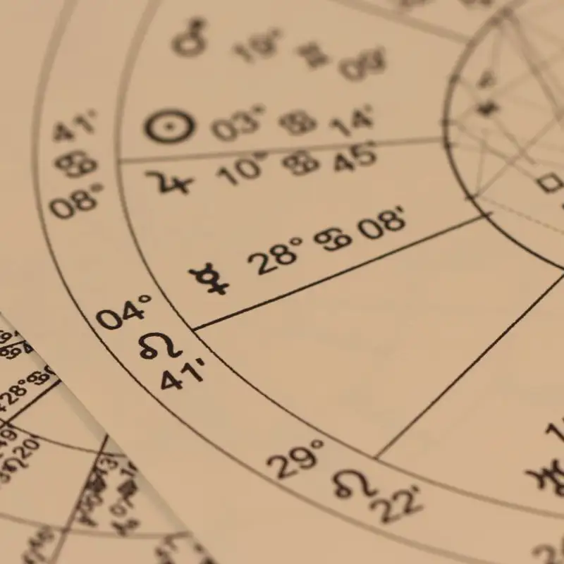 Horóscopo celta: descubre cuál es tu signo del zodiaco druida