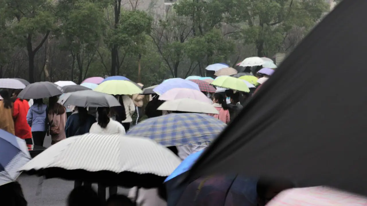 Paraguas lluvia