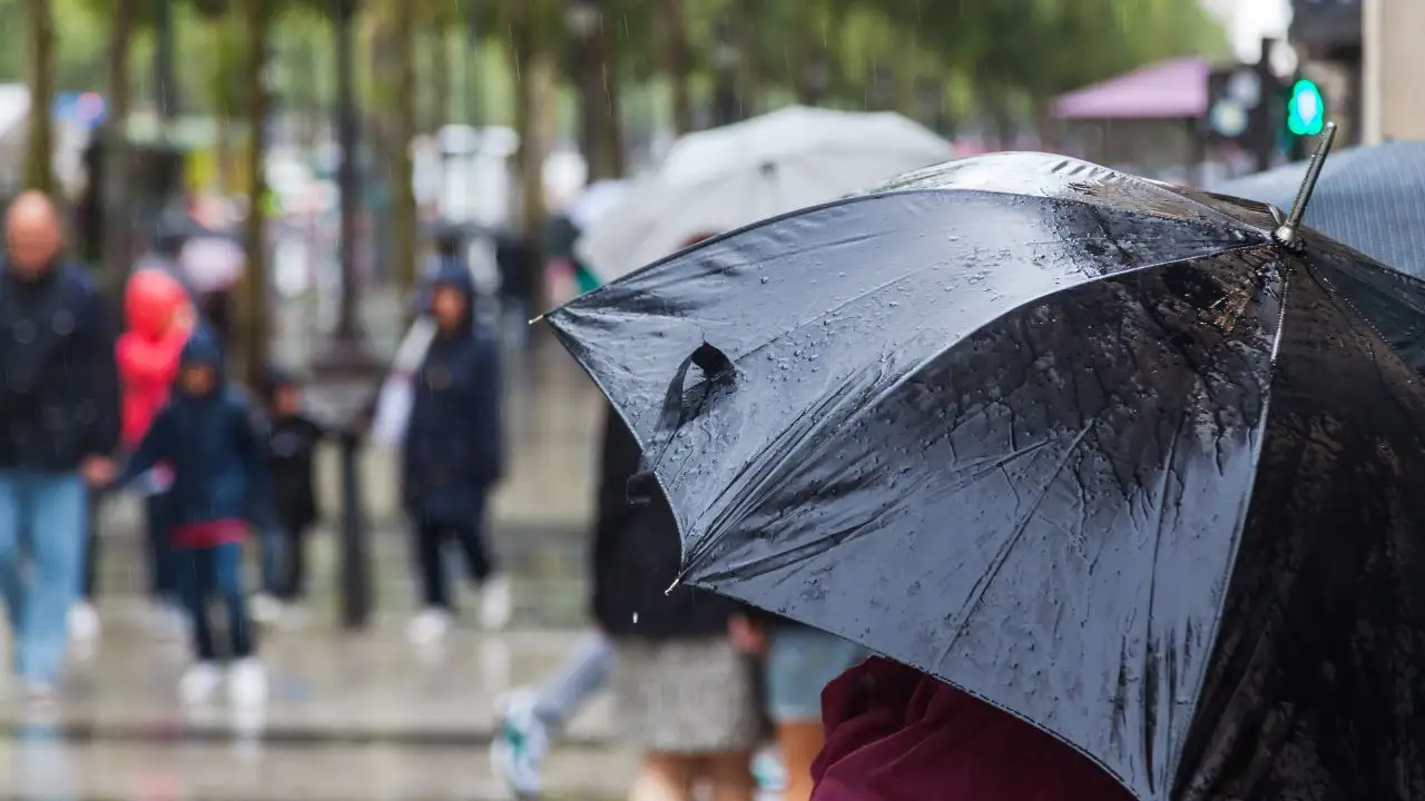 Lluvia paraguas