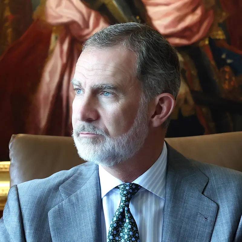 Rey Felipe VI