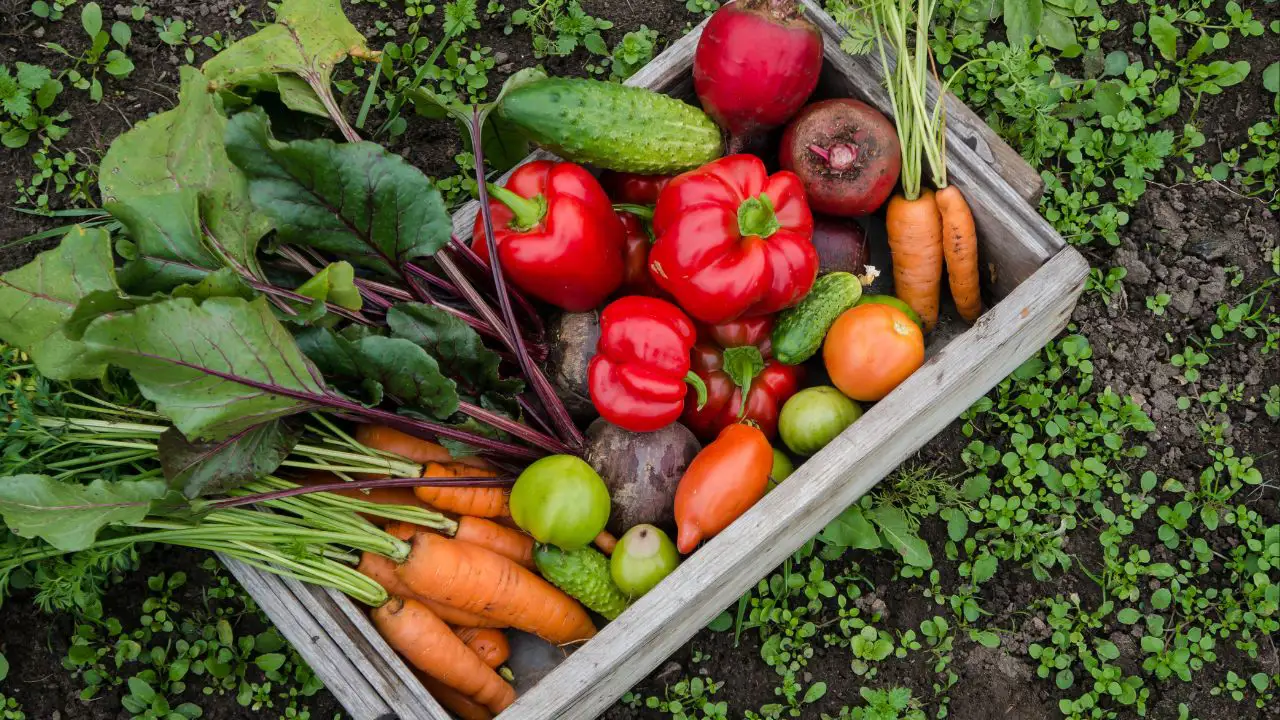 Verduras