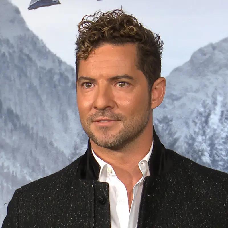 Así está la cuenta de David Bisbal: los suculentos negocios que dejan claro que sabe invertir bien su éxito en la música