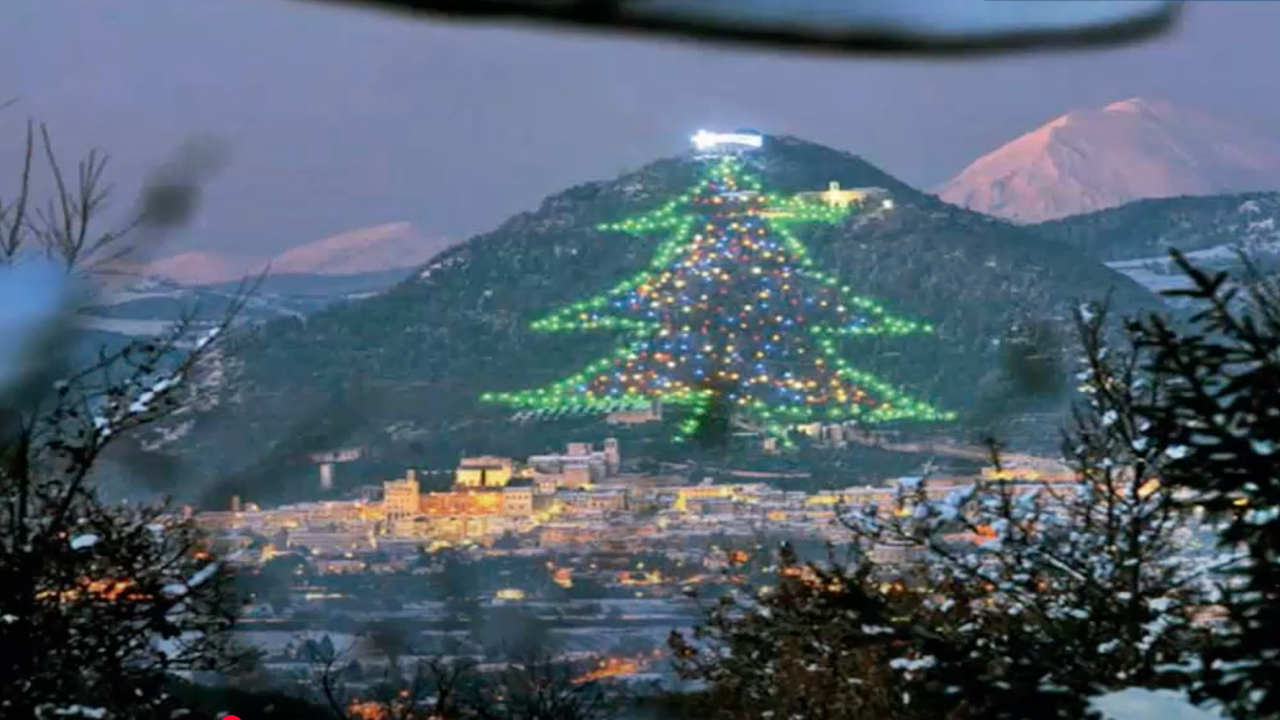 El árbol de Navidad más grande del mundo