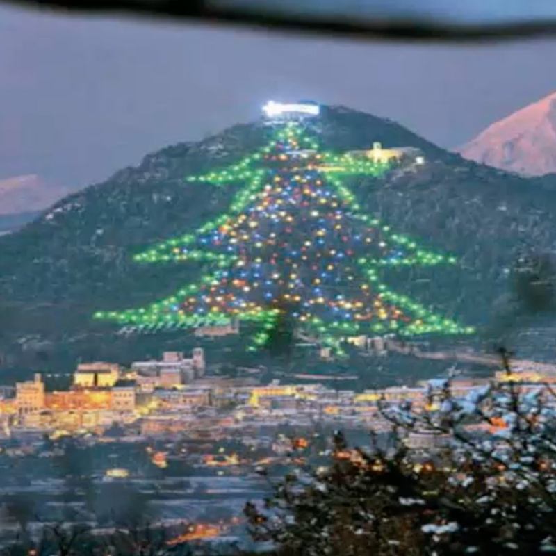 El árbol de Navidad más grande del mundo está en Europa: un monte con 750 luces que puedes adoptar y dedicar 