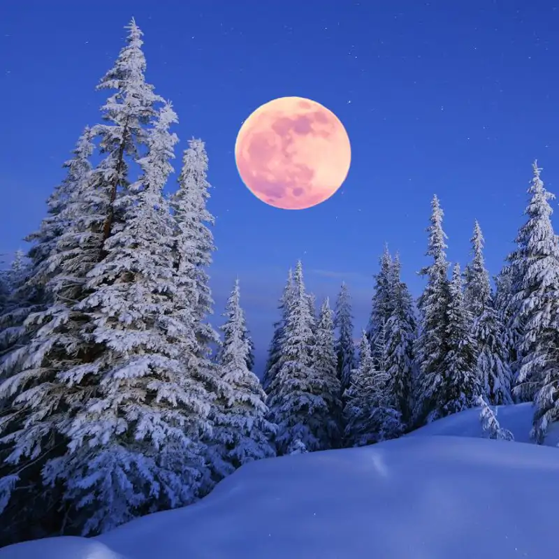 Ya está aquí la Luna de la Nieve 2025: descubre qué día será y cómo afectará a tu signo del horóscopo