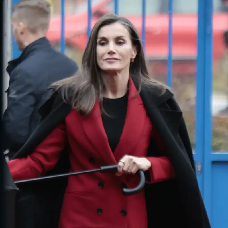 La prensa alemana aplaude la última decisión de la reina Letizia y hace hincapié en un aspecto muy concreto: "Destaca especialmente su pelo gris"