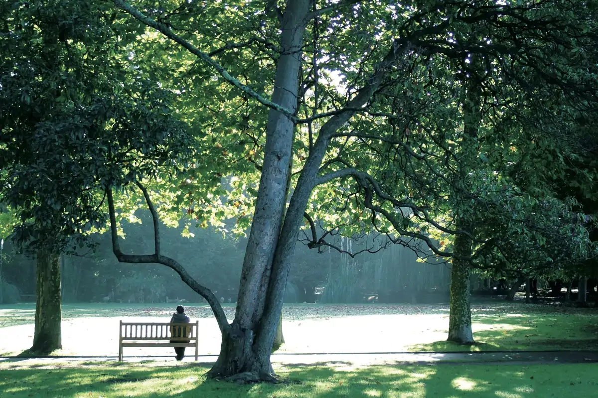 Parque de Ferrera Avilés