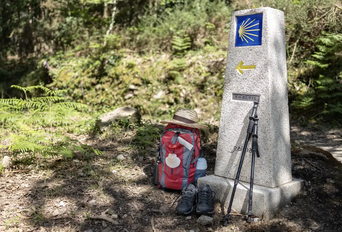 Camino de Santiago