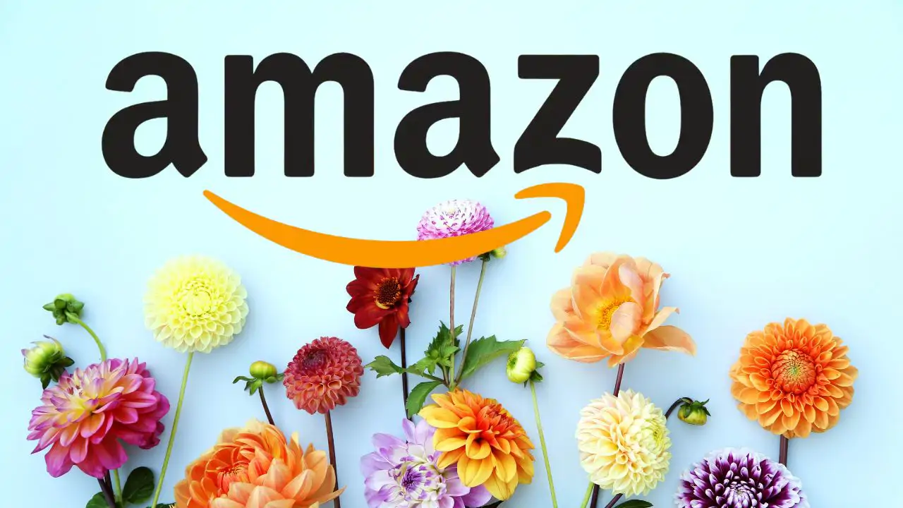 Fiesta de Ofertas de Primavera de Amazon