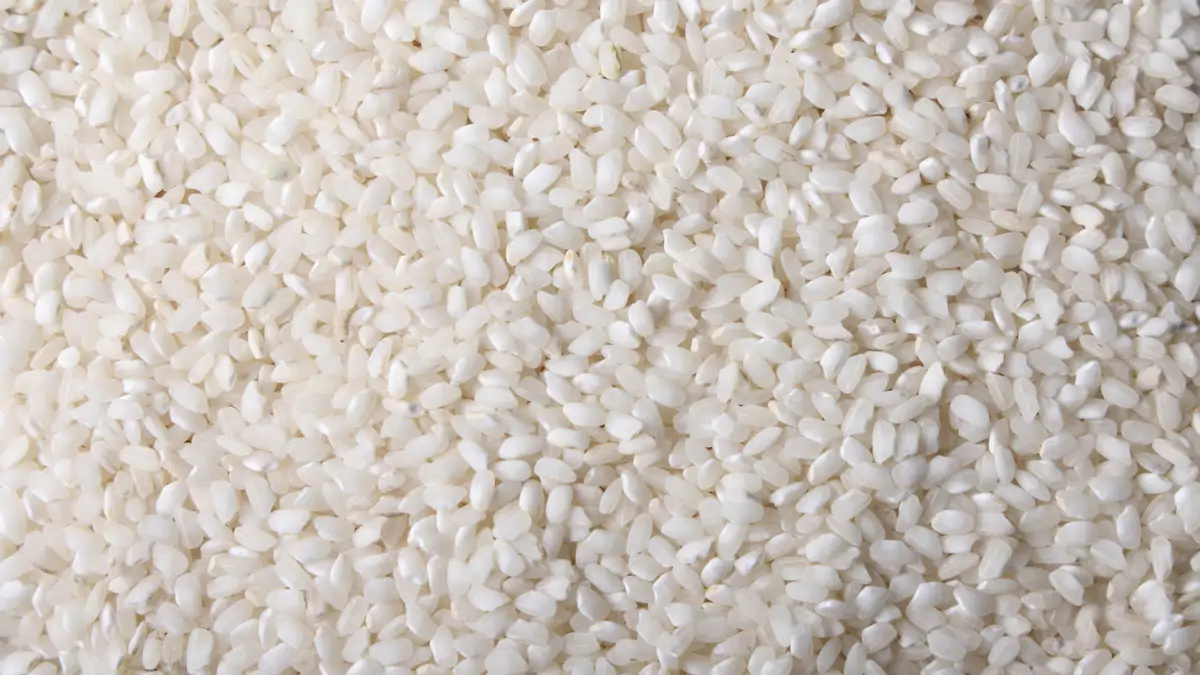 Arroz