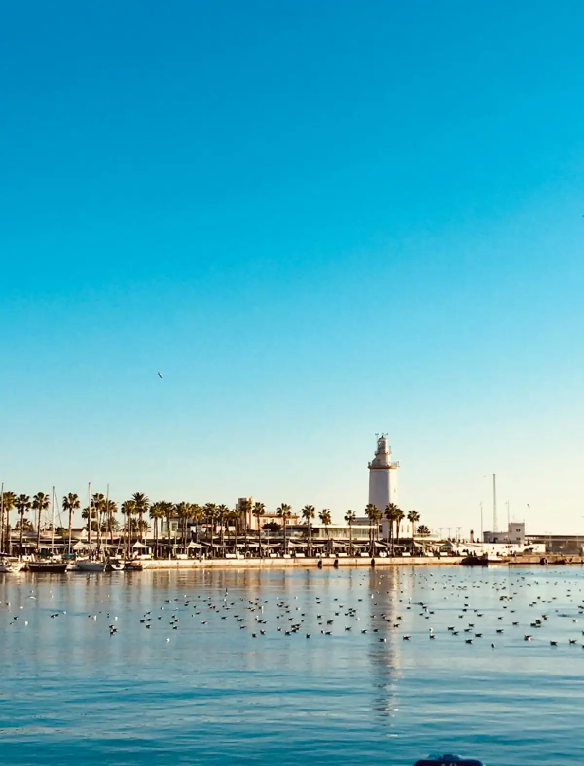 marbella