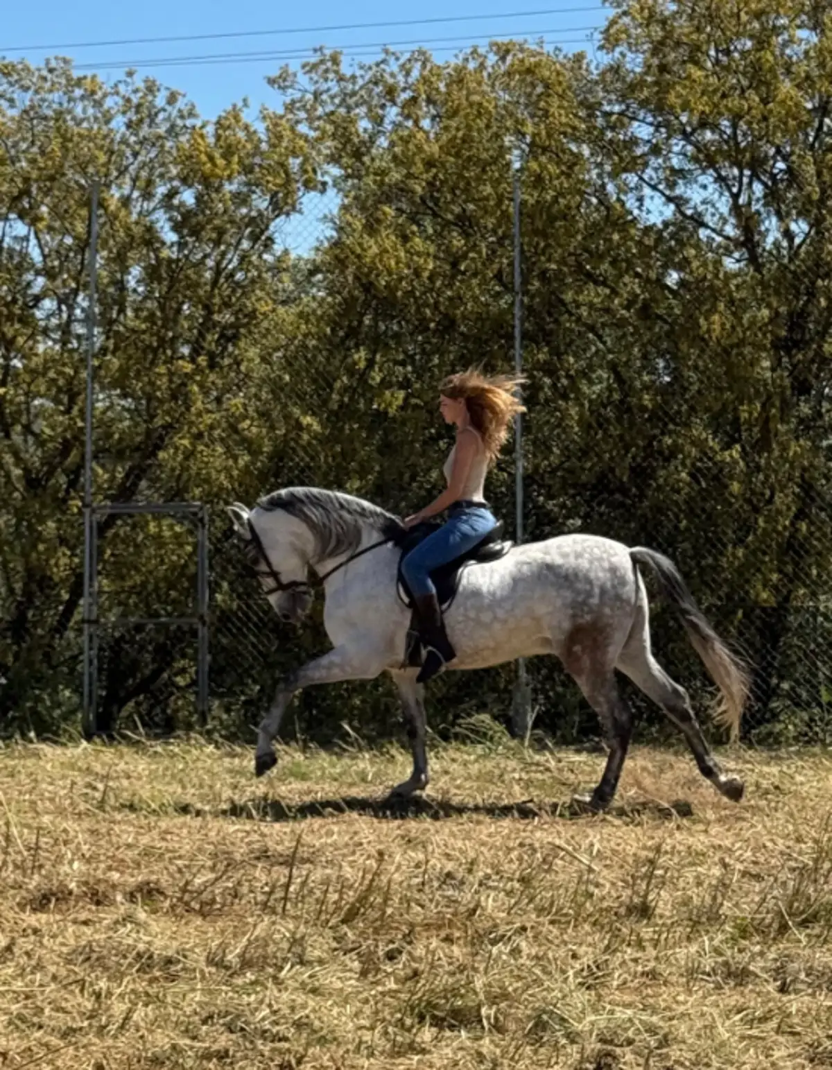 Ana Soria