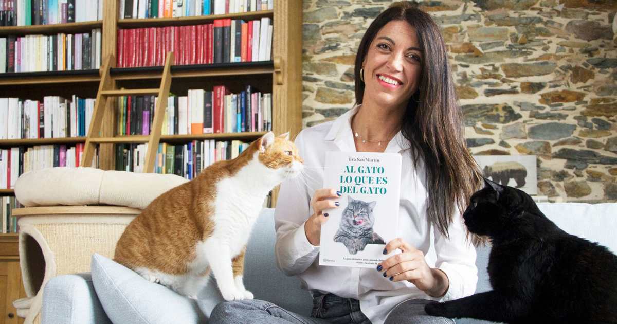Descubre el Poder Terapéutico de los Gatos: ¿Pueden Alargarnos la Vida?