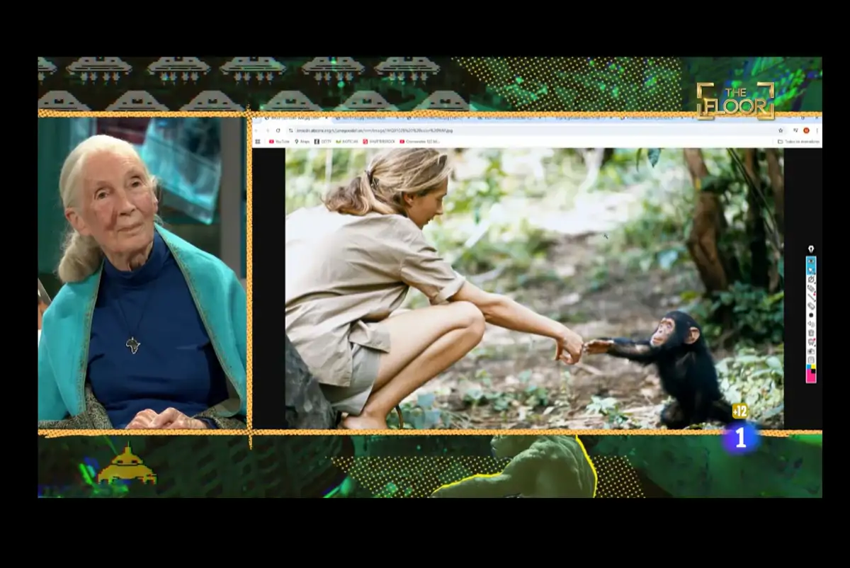 Jane Goodall