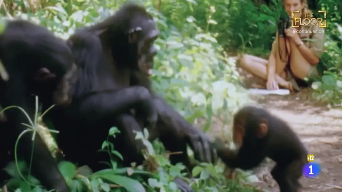 Jane Goodall