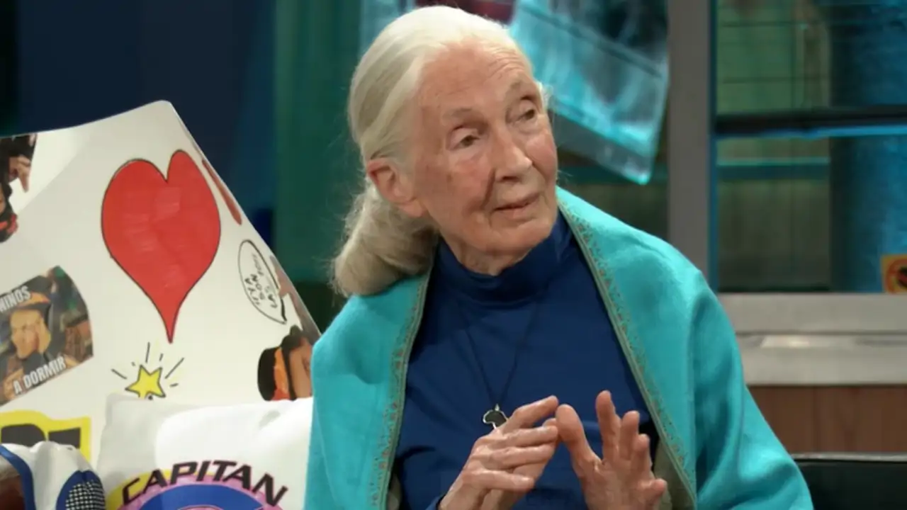 Jane Goodall