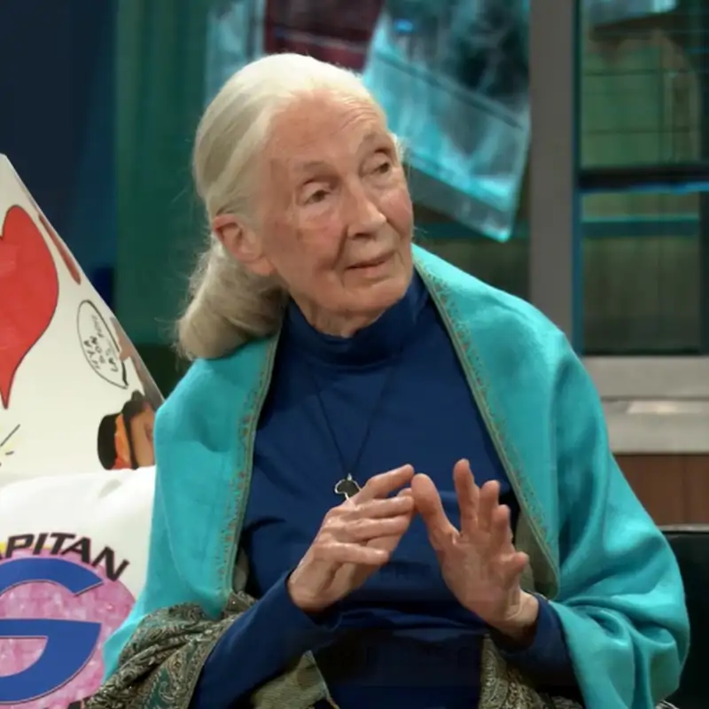 El desafío de Jane Goodall, famosa experta en chimpancés, a David Broncano en 'La Revuelta': "¿Debería enseñarte?"