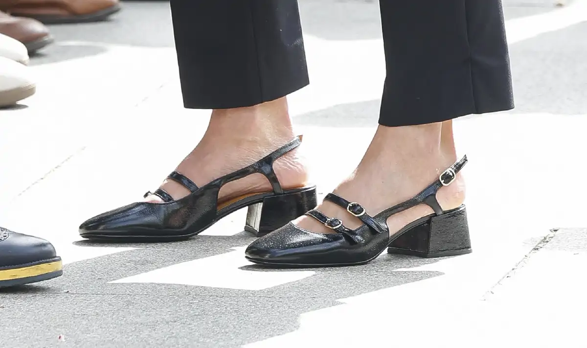zapatos letizia