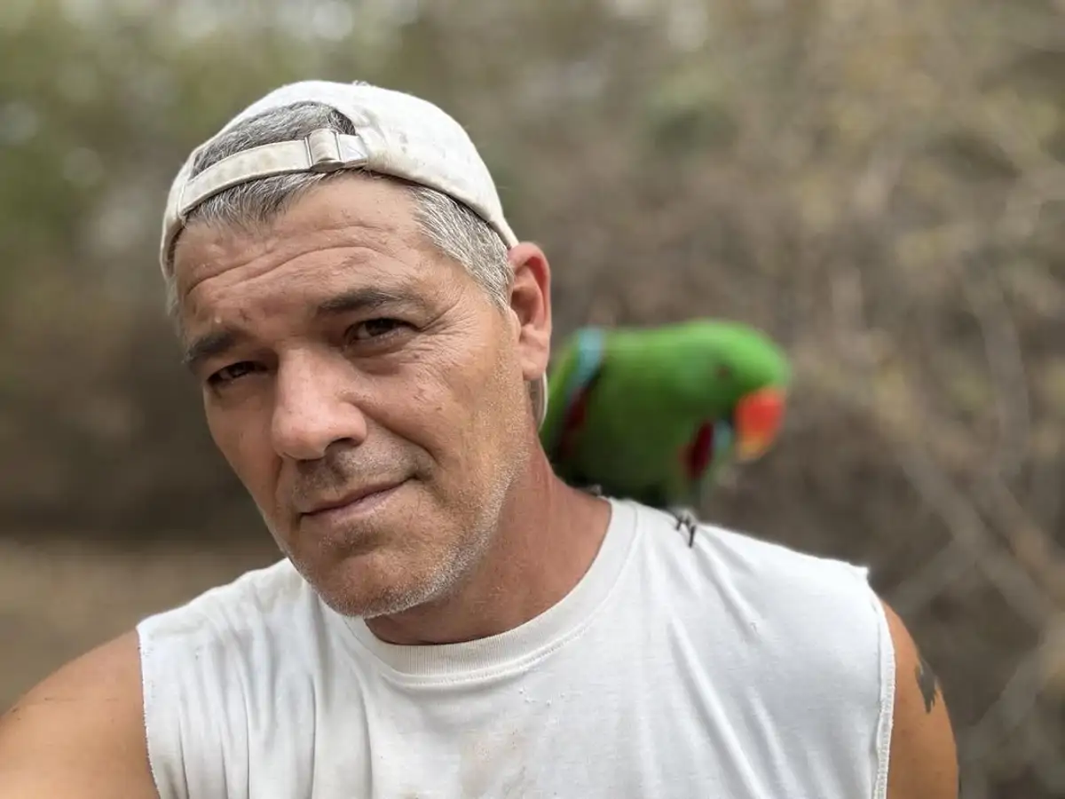 Frank cuesta