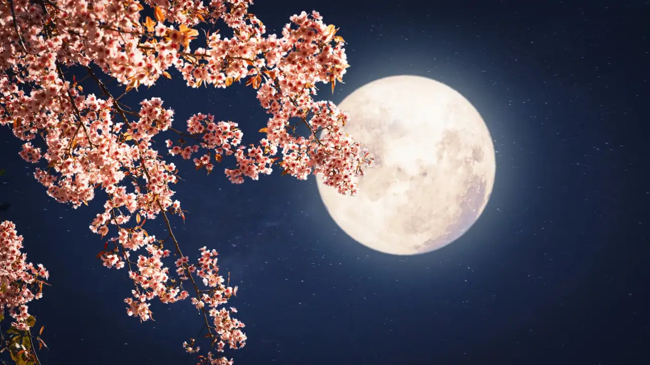 Luna llena
