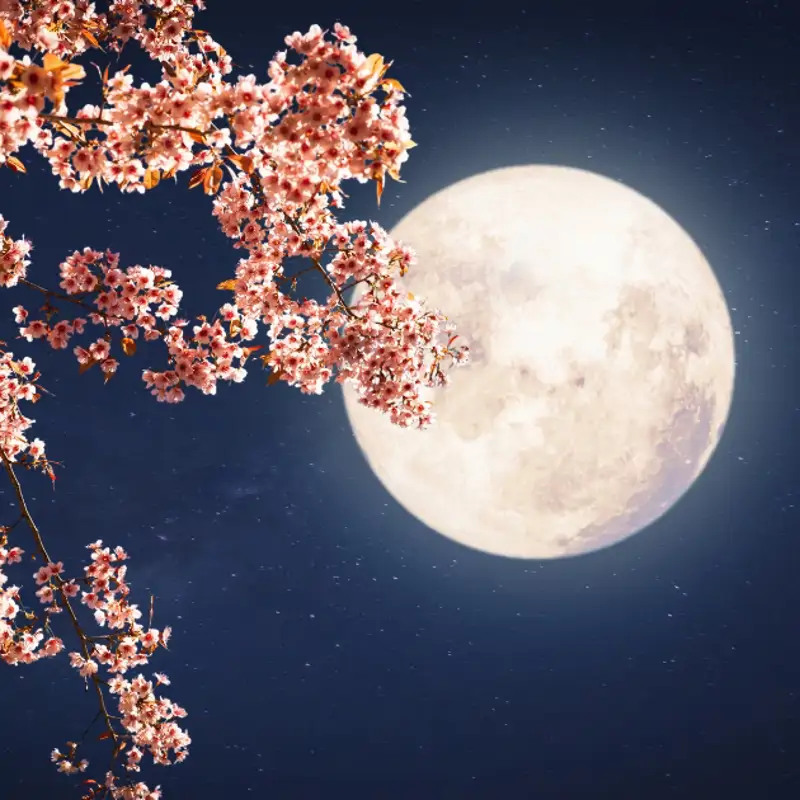 Luna de flores: qué es, cuándo será y cómo afectará a los signos del zodiaco
